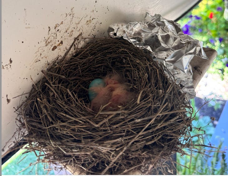 Love, Death, and a Goddamn Slice of Pizza