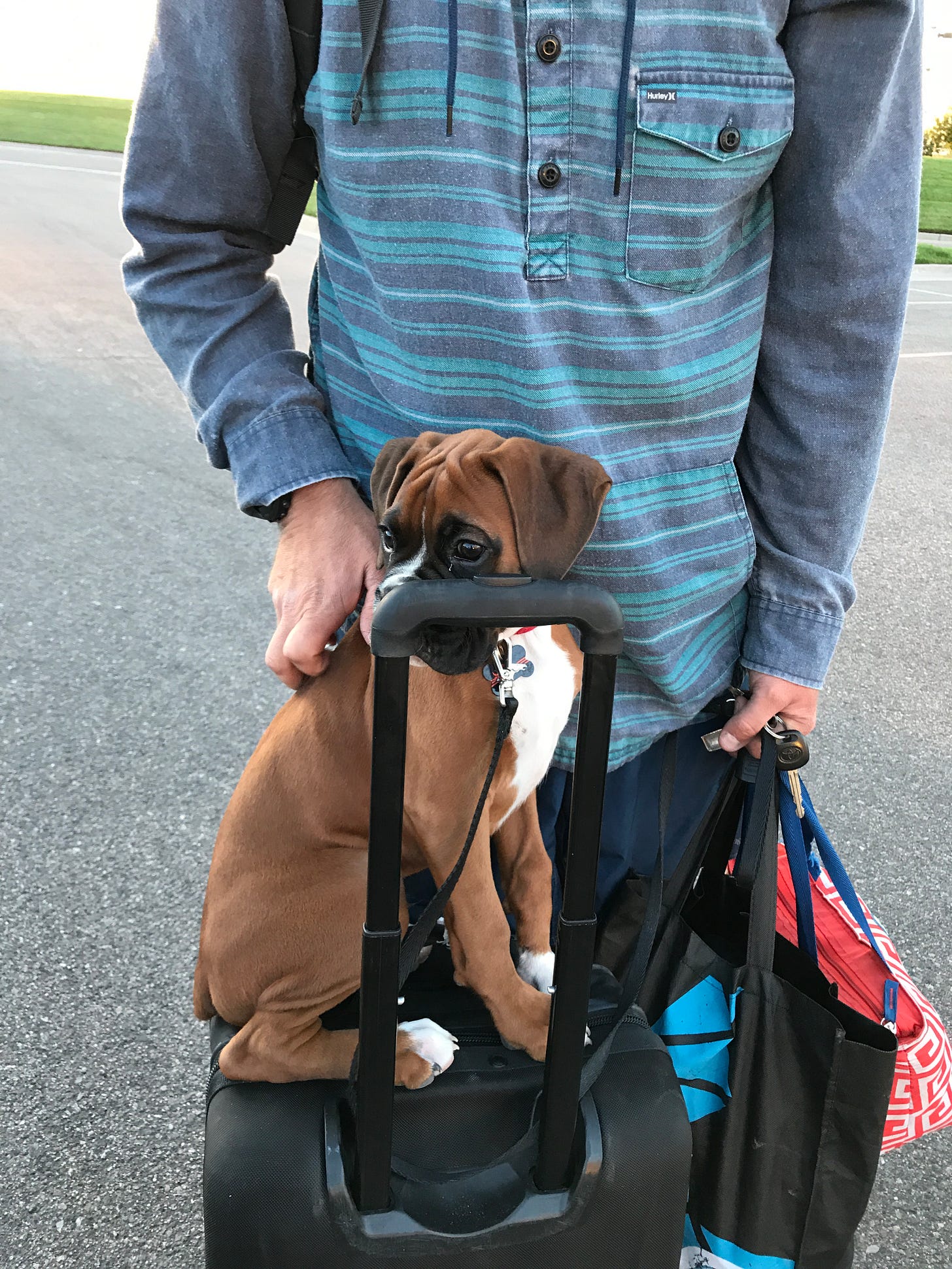 My Marriage Ended in a Whisper