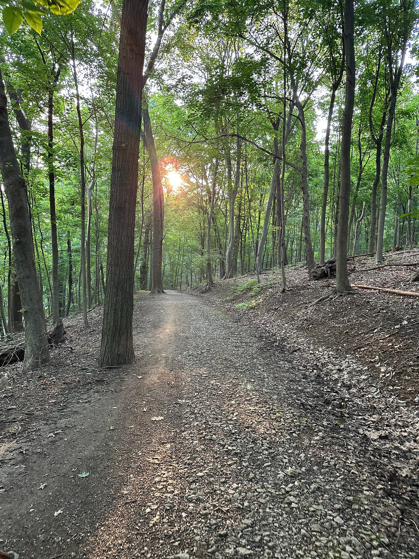 Soul Stewardship - by Molly Booker