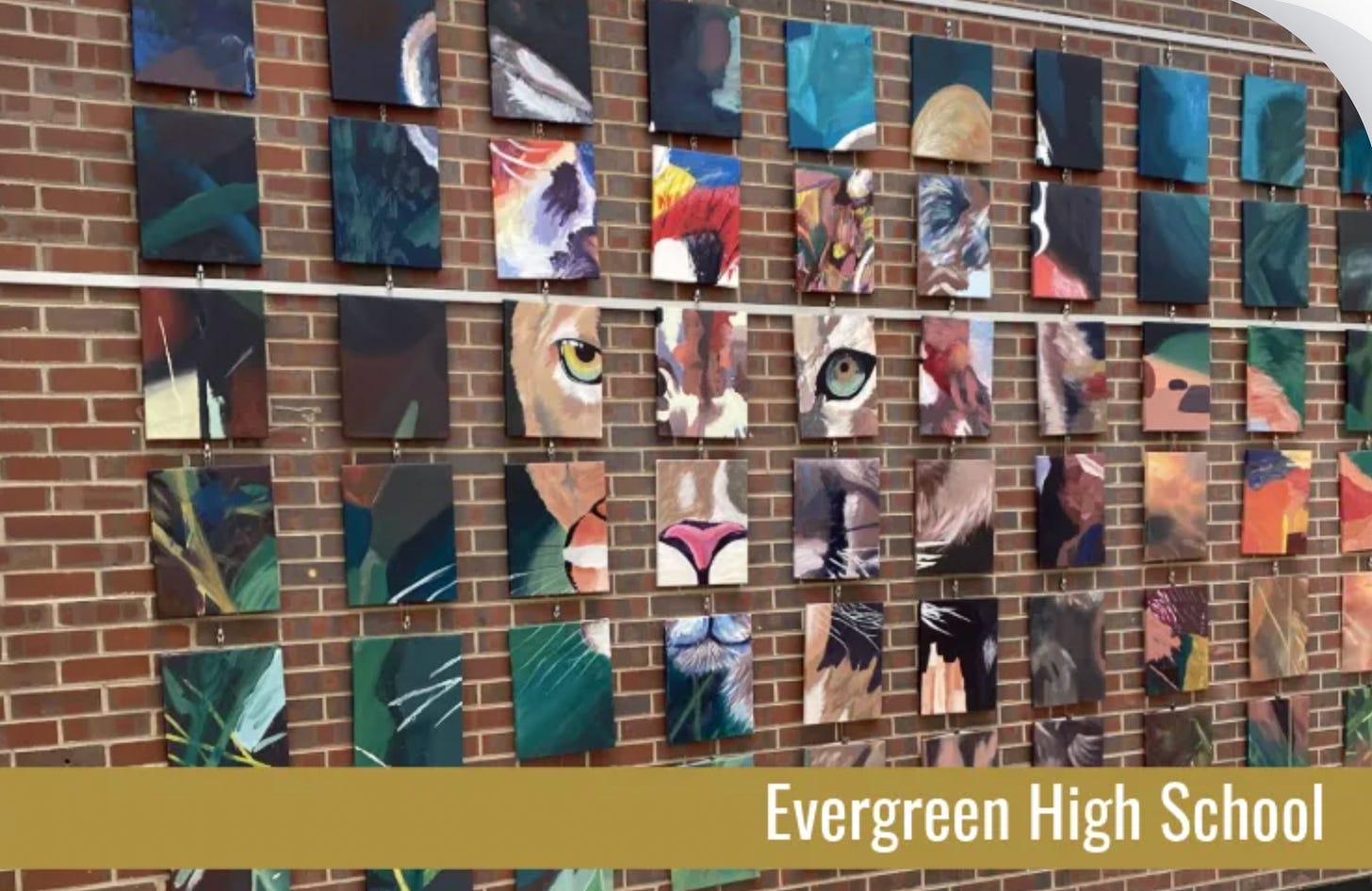 Not Evergreen. Not Again.