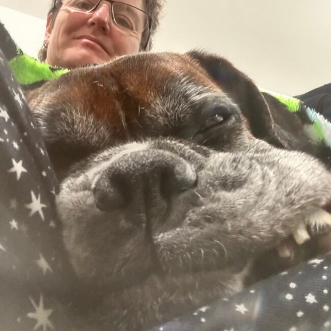 Ghosting, Survival Mode, and Why No Dog Has Ever Complained About My Communication