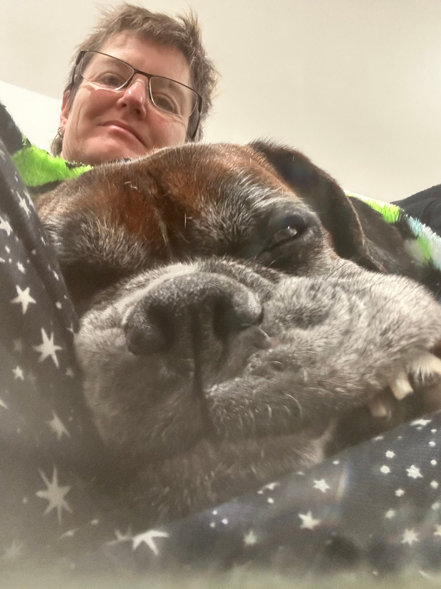 Ghosting, Survival Mode, and Why No Dog Has Ever Complained About My Communication