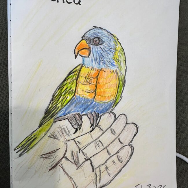 Perched - by Molly Booker