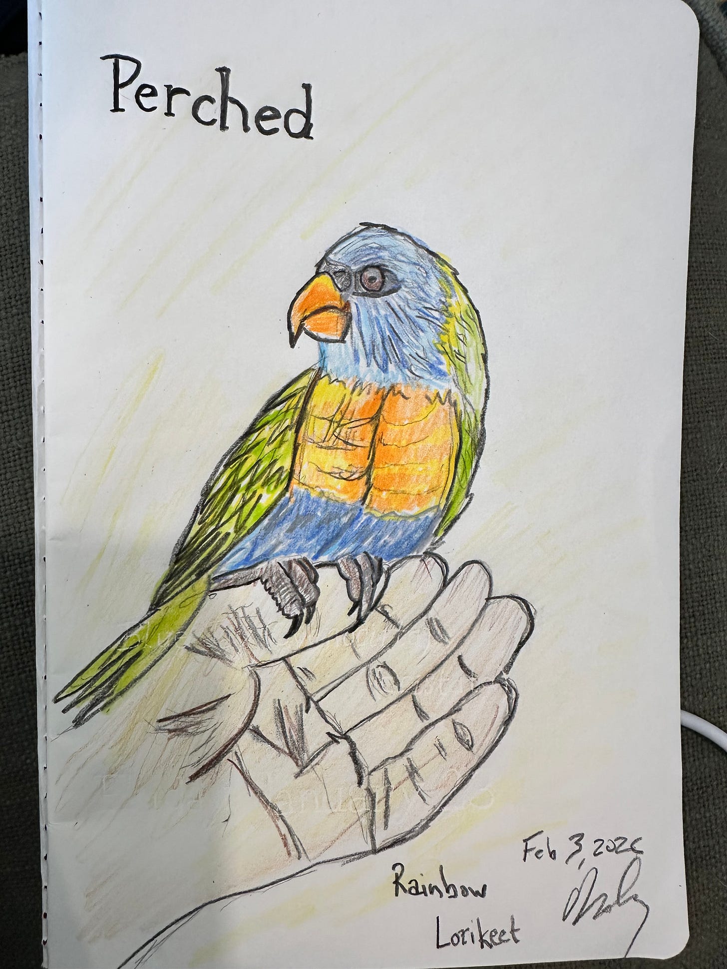 Perched - by Molly Booker